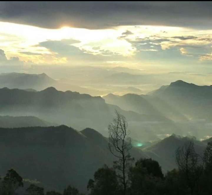Praveen'S Wood House Kodaikanal Vattakanal Exteriér fotografie