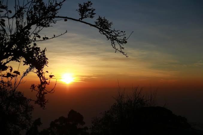 Praveen'S Wood House Kodaikanal Vattakanal Exteriér fotografie