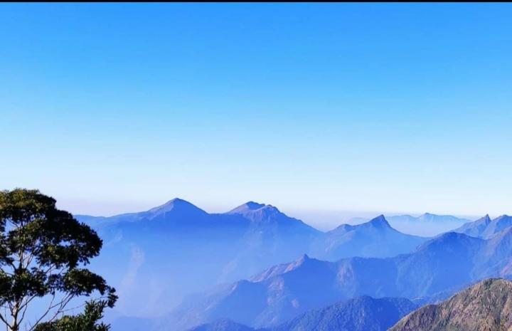 Praveen'S Wood House Kodaikanal Vattakanal Exteriér fotografie